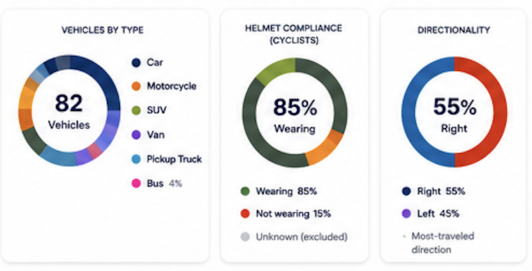 Donut charts of vehicles by type, helmet compliance, and directionality